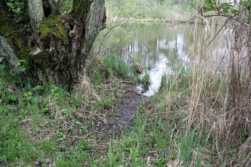 VWG vogelreis Oost Duitsland mei 2010 338